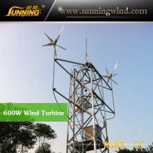 Protable Camping Wind Turbine Generator para Wind Solar Power System (MAX 600W)